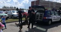 na zdjęciu widać radiowóz dwóch policjantów jeden stojący z tyłu i jeden stojący z przodu bawiący się z psem służbowym