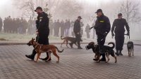 Szkolenie psów służbowych Policji