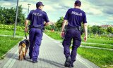 Patrol Policji z psem służbowym podczas pracy na terenie terenów rekreacyjnych w Łomży