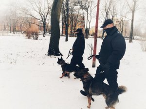 Dwóch umundurowanych policjantów w trakcie patrolowania łomżyńskiego parku wraz z psami służbowymi.