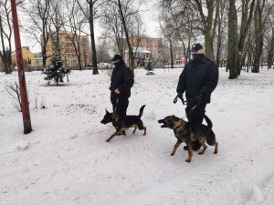 Dwóch policjantów w trakcie patrolowania parku z psami służbowymi. Park zaśnieżony.