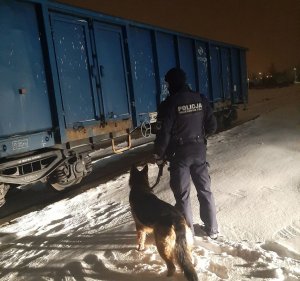 Przewodnik z psem służbowym przy wagonie sprawdzają czy mogą przebywać tam osoby bezdomne. Panuje zmrok, dużo śniegu.