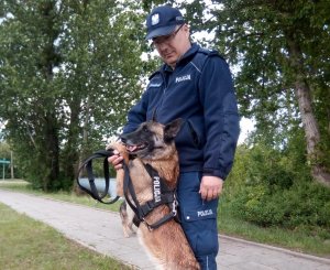 Umundurowany policjant wraz ze swoim psem służbowym. Pies rasy owczarek belgijski.