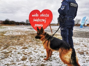 Umundurowany policjant z psem służbowym. W tle serce Wielkiej Orkiestry Świątecznej Pomocy.