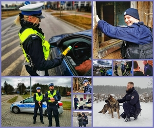 Kolaż 11 zdjęć funkcjonariuszy łomżyńskiej jednostki Policji w trakcie wykonywania swoich czynności służbowych