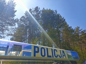 napis policja na tle lasu